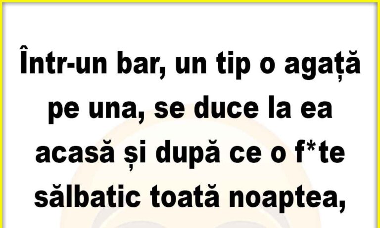 Banc: Într-un bar, un tip o agata pe una, se duce la ea acasa si…