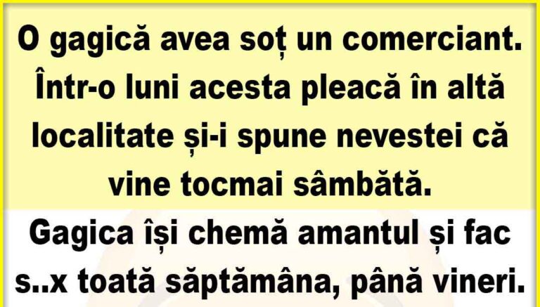 O gagică avea soț un comerciant.  Într-o luni acesta pleacă în alt oraș