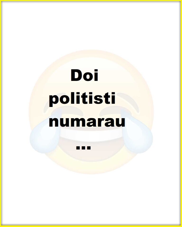 Doi politisti 