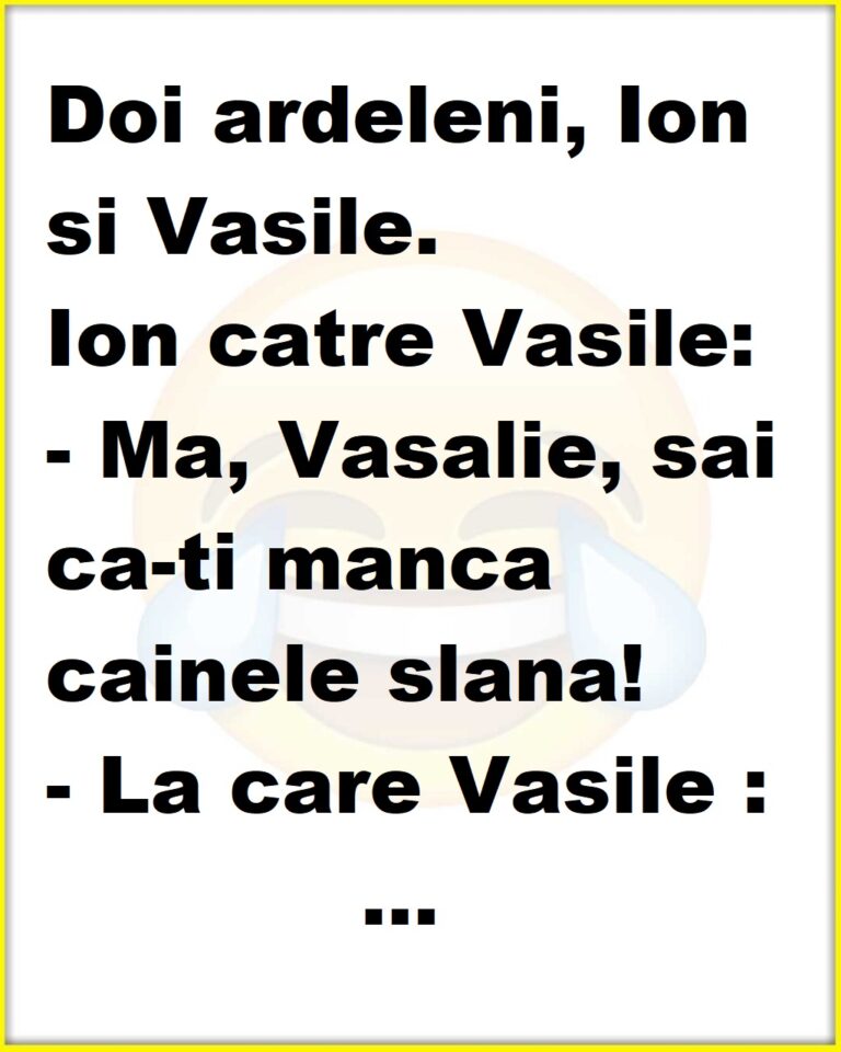 Doi ardeleni, Ion si Vasile.