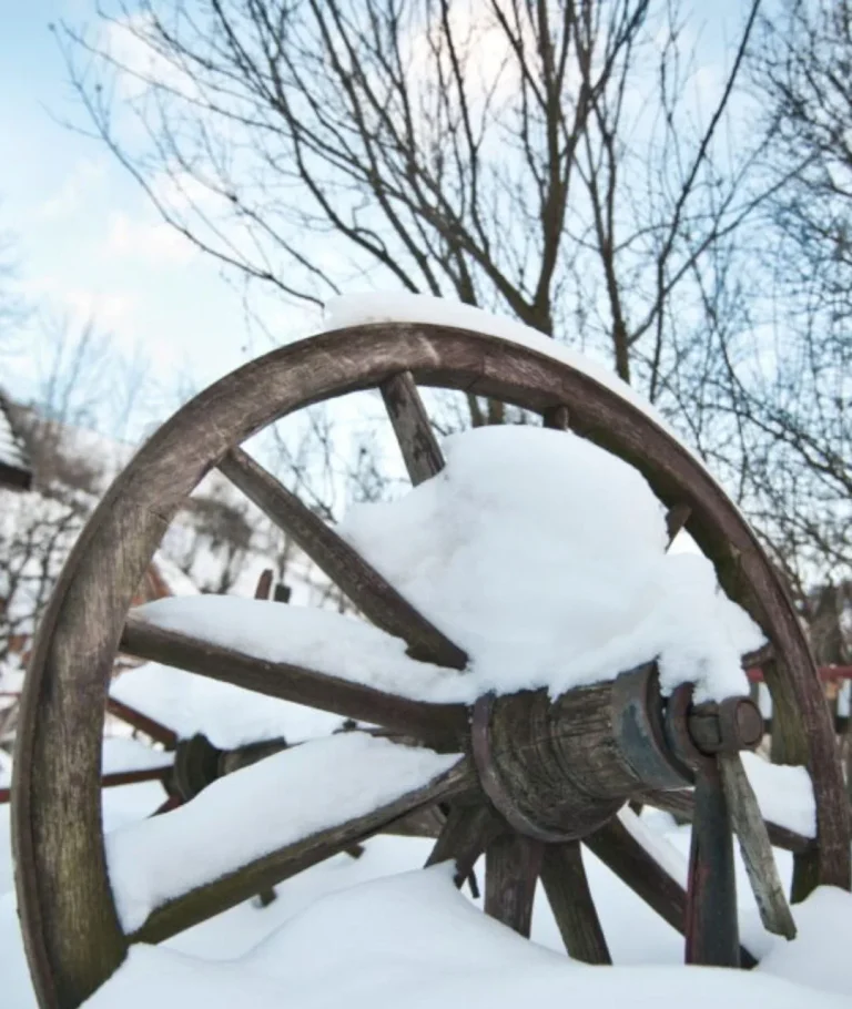 Începe iarna grea în România, chiar în februarie. Zăpadă cât vezi cu ochii și –20 de grade Celsius